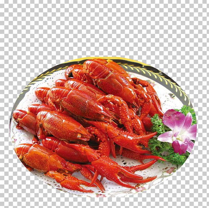 imgbin-procambarus-clarkii-seafood-panulirus-crayfish-shrimp-braised-lobster-vL3zdMqrnmFhpk0M8UT2ybp7L.jpg