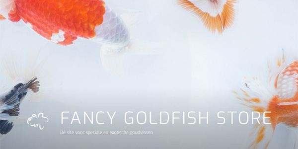 www.fancygoldfishstore.nl